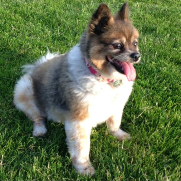 Meet your seller!!! - Picture 4 of 8